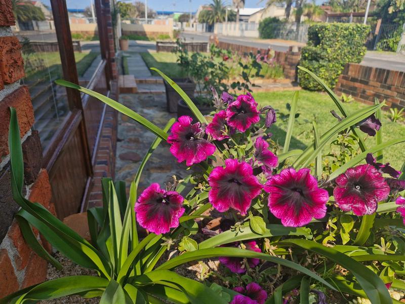 3 Bedroom Property for Sale in Parow Valley Western Cape